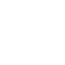 PDF Icon